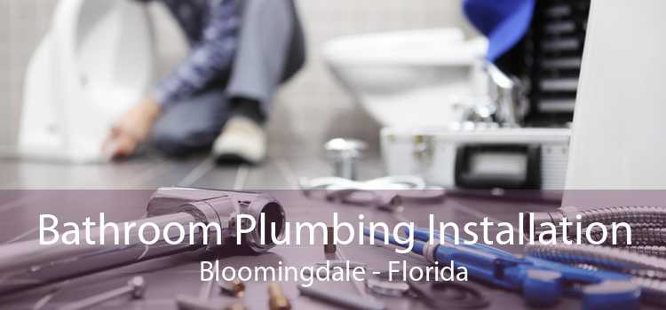 Bathroom Plumbing Installation Bloomingdale - Florida