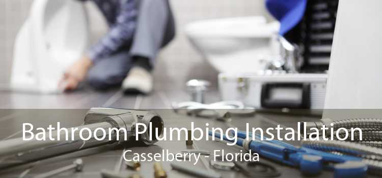 Bathroom Plumbing Installation Casselberry - Florida