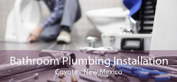 Bathroom Plumbing Installation Coyote - New Mexico