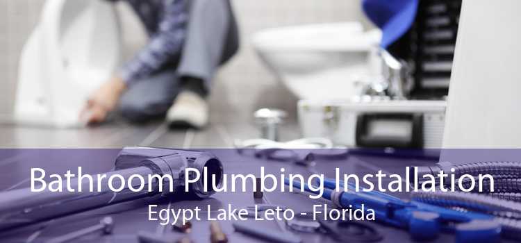 Bathroom Plumbing Installation Egypt Lake Leto - Florida