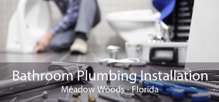 Bathroom Plumbing Installation Meadow Woods - Florida