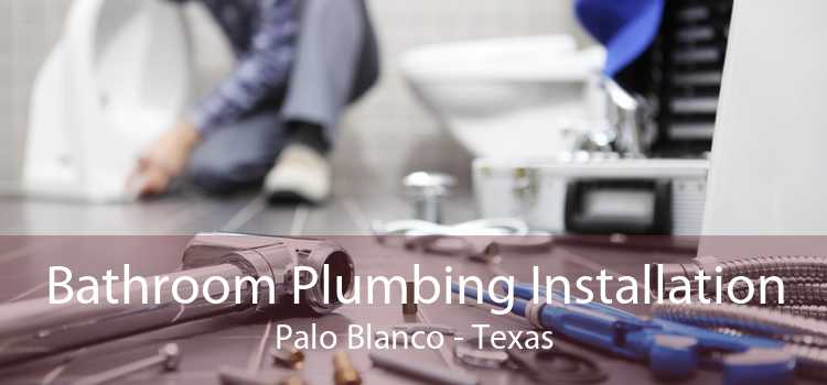 Bathroom Plumbing Installation Palo Blanco - Texas