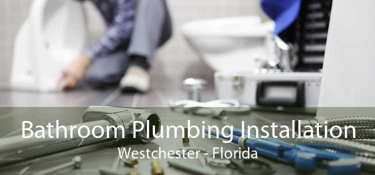 Bathroom Plumbing Installation Westchester - Florida
