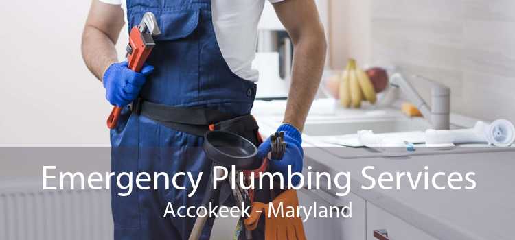 Emergency Plumbing Services Accokeek - Maryland