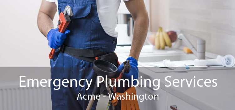 Emergency Plumbing Services Acme - Washington