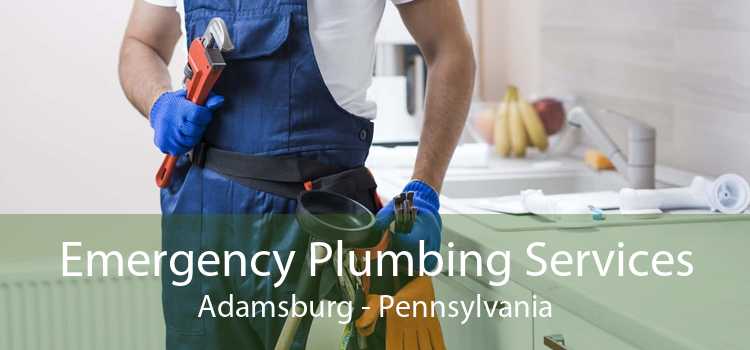 Emergency Plumbing Services Adamsburg - Pennsylvania