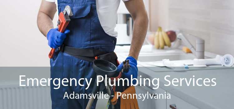 Emergency Plumbing Services Adamsville - Pennsylvania