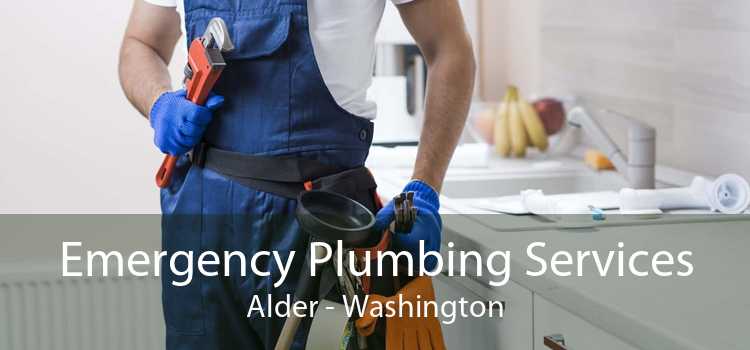 Emergency Plumbing Services Alder - Washington
