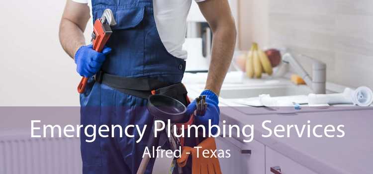 Emergency Plumbing Services Alfred - Texas