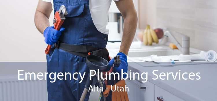 Emergency Plumbing Services Alta - Utah
