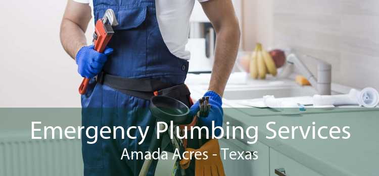 Emergency Plumbing Services Amada Acres - Texas