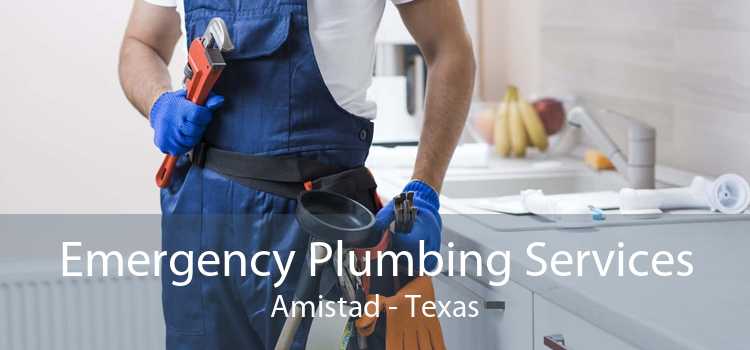 Emergency Plumbing Services Amistad - Texas