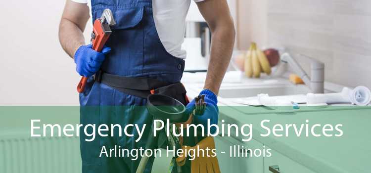 Emergency Plumbing Services Arlington Heights - Illinois