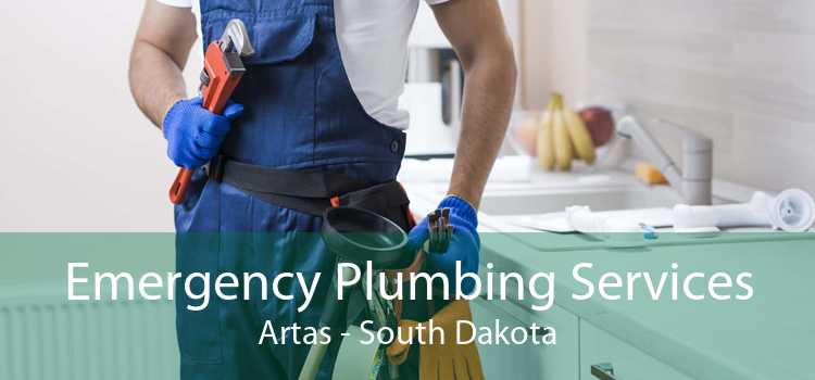 Emergency Plumbing Services Artas - South Dakota