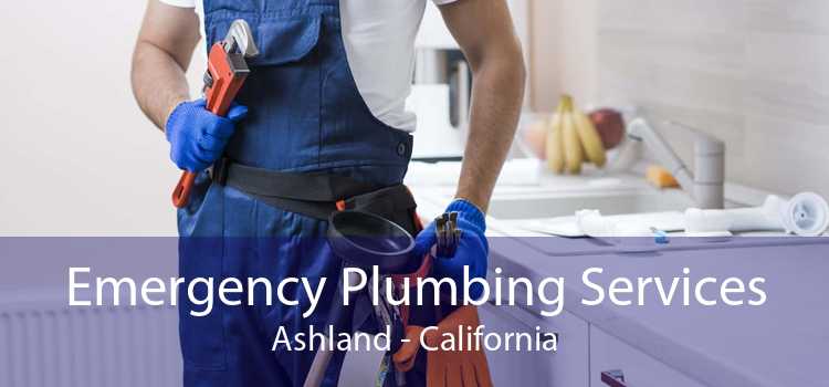 Emergency Plumbing Services Ashland - California