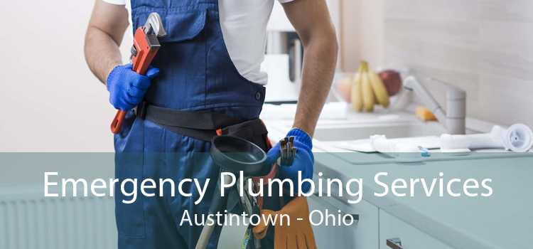 Emergency Plumbing Services Austintown - Ohio