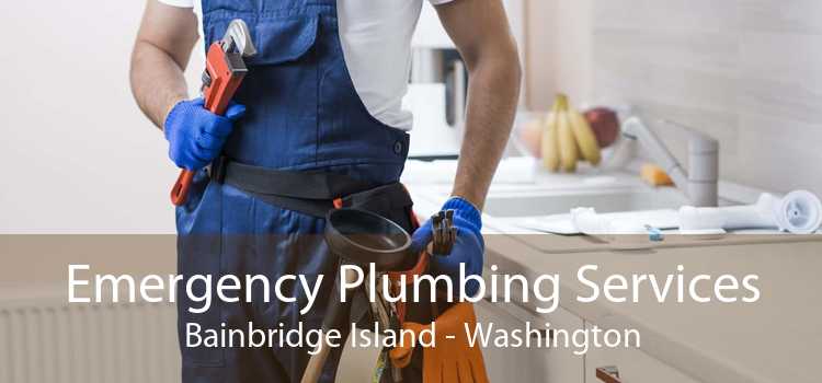 Emergency Plumbing Services Bainbridge Island - Washington