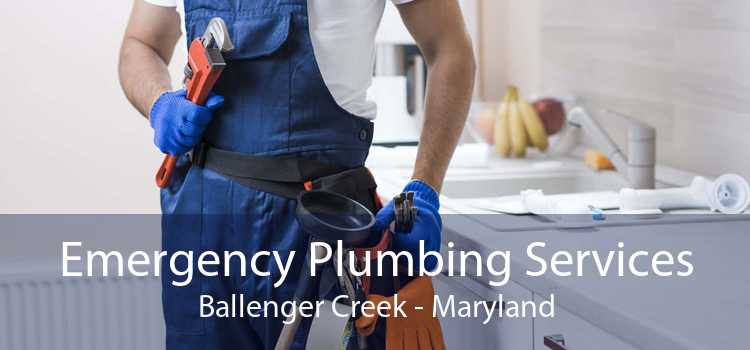 Emergency Plumbing Services Ballenger Creek - Maryland