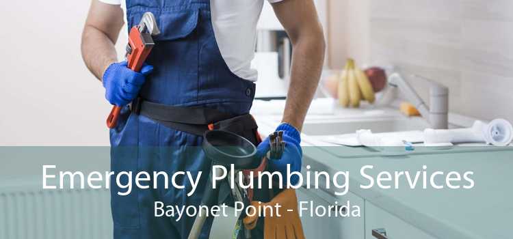 Emergency Plumbing Services Bayonet Point - Florida