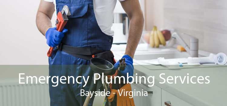 Emergency Plumbing Services Bayside - Virginia