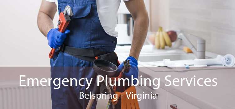 Emergency Plumbing Services Belspring - Virginia