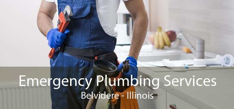 Emergency Plumbing Services Belvidere - Illinois