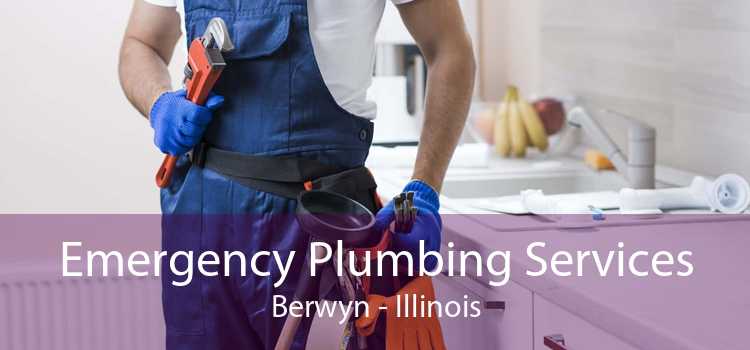 Emergency Plumbing Services Berwyn - Illinois