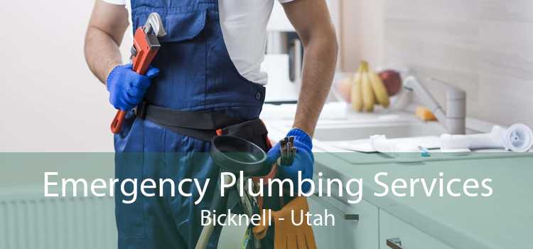 Emergency Plumbing Services Bicknell - Utah