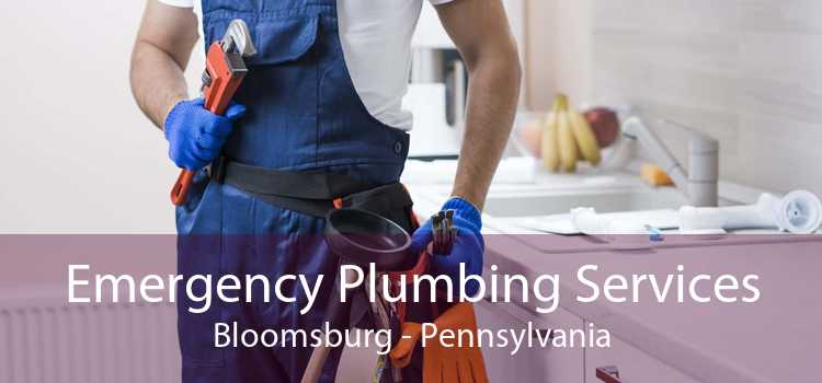 Emergency Plumbing Services Bloomsburg - Pennsylvania