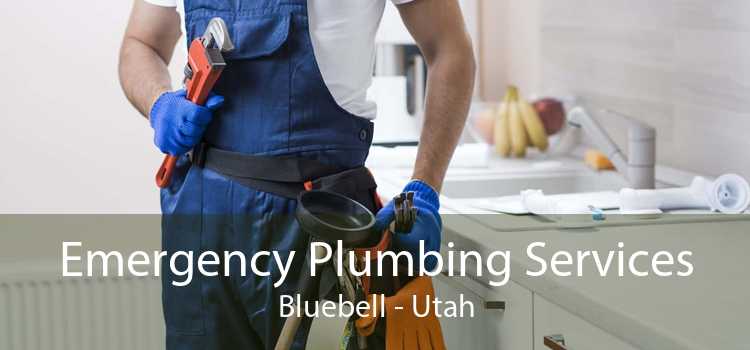Emergency Plumbing Services Bluebell - Utah
