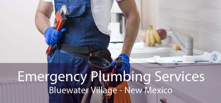 Emergency Plumbing Services Bluewater Village - New Mexico