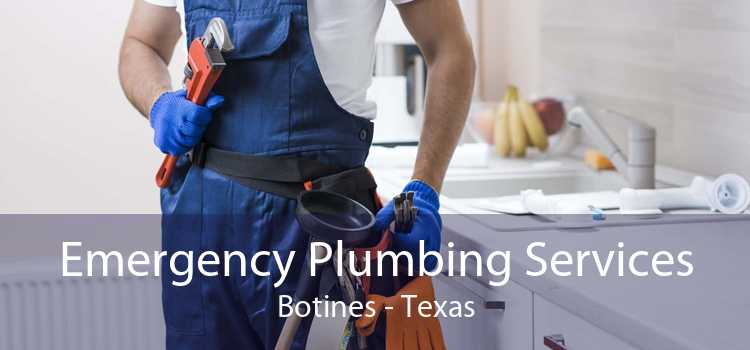 Emergency Plumbing Services Botines - Texas