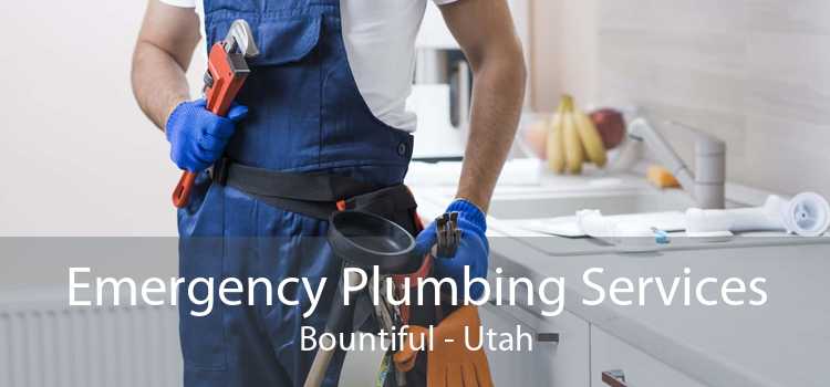 Emergency Plumbing Services Bountiful - Utah