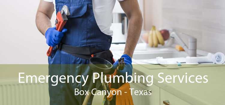 Emergency Plumbing Services Box Canyon - Texas