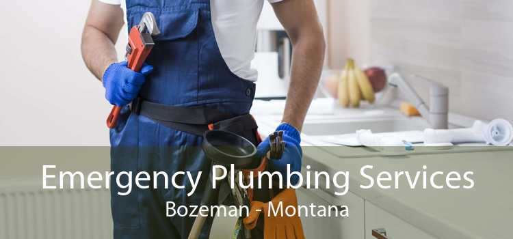 Emergency Plumbing Services Bozeman - Montana