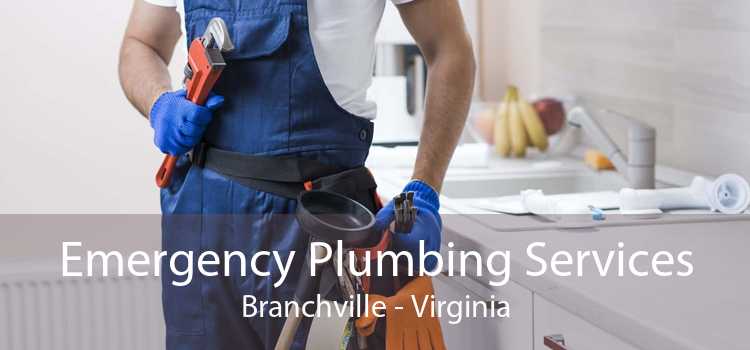 Emergency Plumbing Services Branchville - Virginia