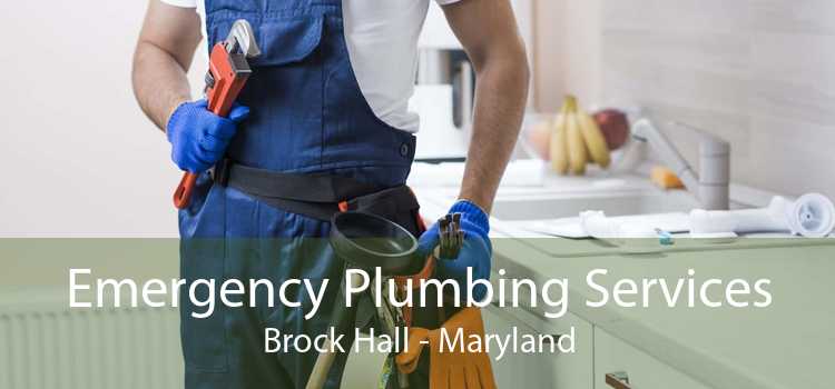 Emergency Plumbing Services Brock Hall - Maryland