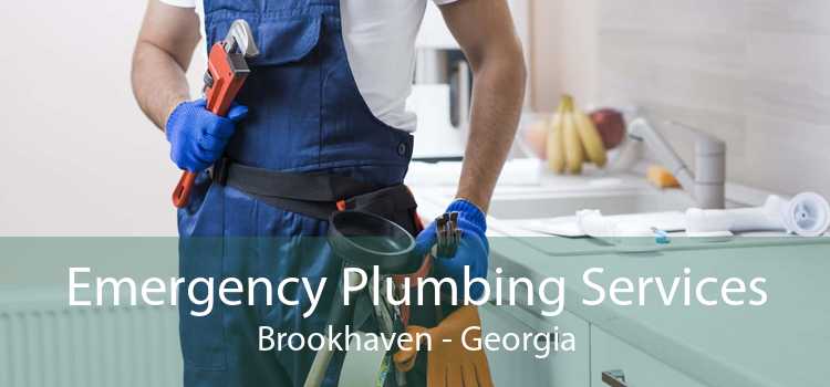Emergency Plumbing Services Brookhaven - Georgia