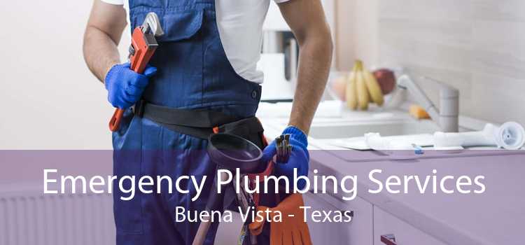 Emergency Plumbing Services Buena Vista - Texas