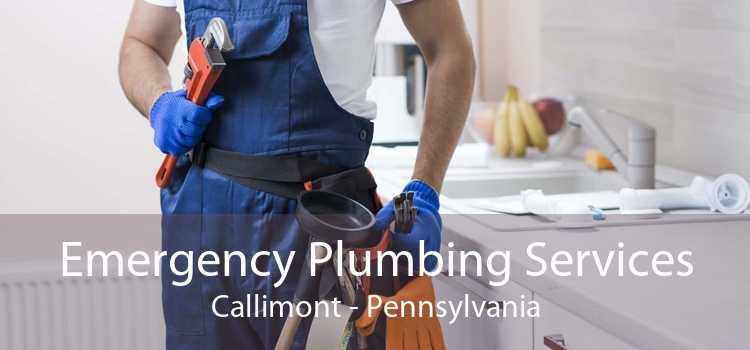 Emergency Plumbing Services Callimont - Pennsylvania