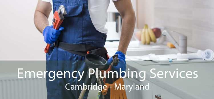 Emergency Plumbing Services Cambridge - Maryland