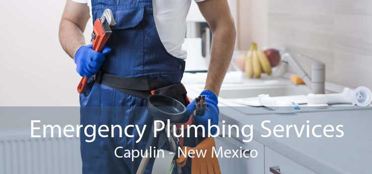 Emergency Plumbing Services Capulin - New Mexico