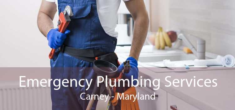Emergency Plumbing Services Carney - Maryland