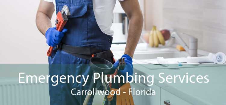 Emergency Plumbing Services Carrollwood - Florida
