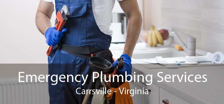 Emergency Plumbing Services Carrsville - Virginia