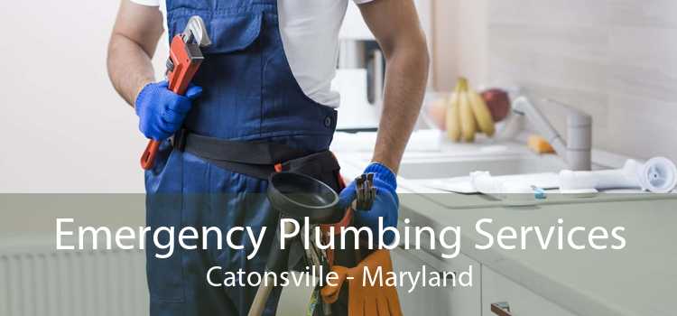 Emergency Plumbing Services Catonsville - Maryland