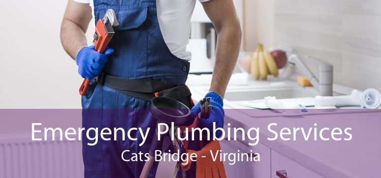 Emergency Plumbing Services Cats Bridge - Virginia