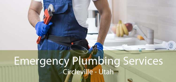 Emergency Plumbing Services Circleville - Utah