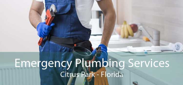 Emergency Plumbing Services Citrus Park - Florida