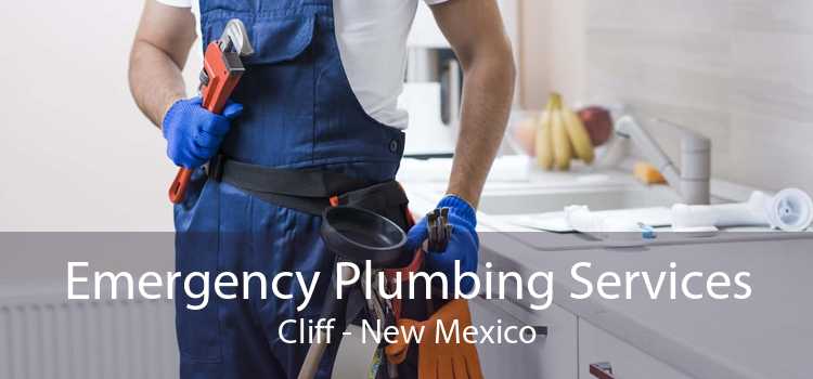 Emergency Plumbing Services Cliff - New Mexico